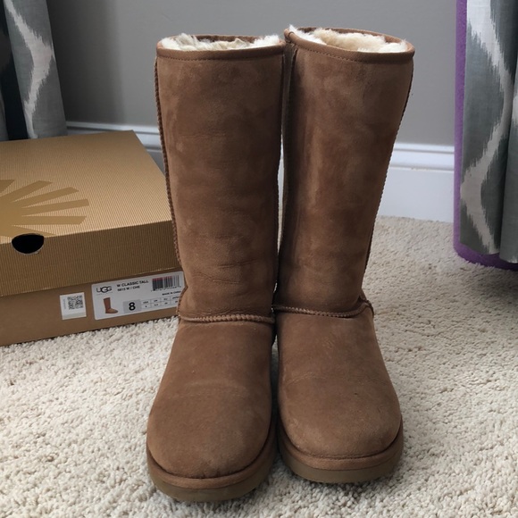 UGG Shoes - WORN ONCE Tall Chestnut UGGs (Perfect Condition!)